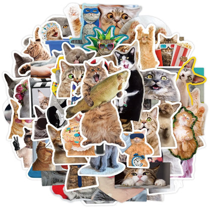 10/30/65pcs Funny Cat Stickers Kawaii Cute Cartoon Decals DIY Skateboard Notebook Luggage Phone Fridge Bike PVC Car Sticker Toys