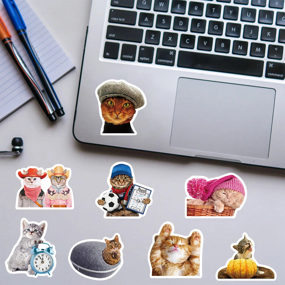 50PCS Cat MEME Funny Animals Stickers Vintage Toy DIY Kids Notebook Luggage Motorcycle Laptop Refrigerator Decals Graffiti